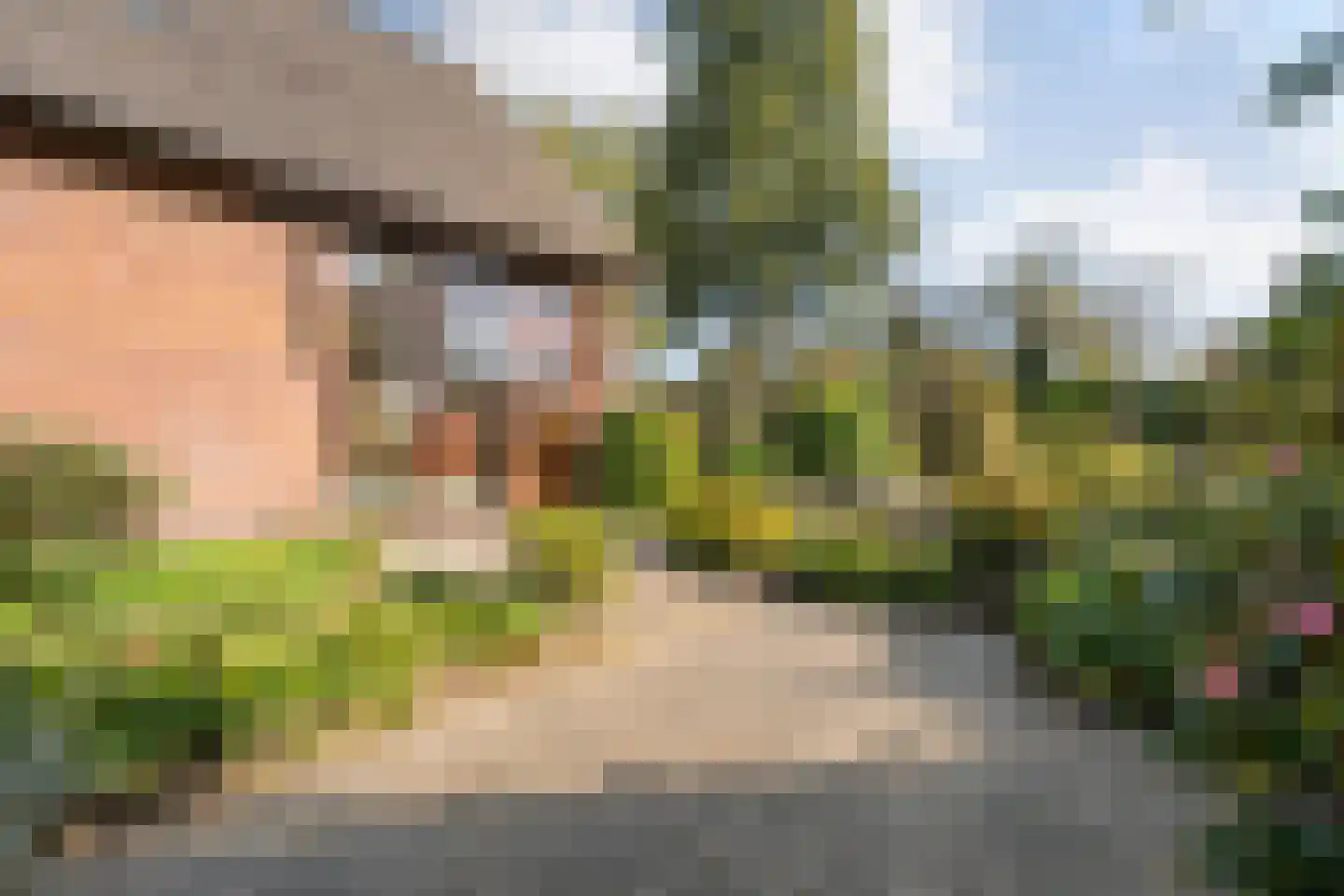 Patrijslaan 8 Ruinerwold thumbnail 44