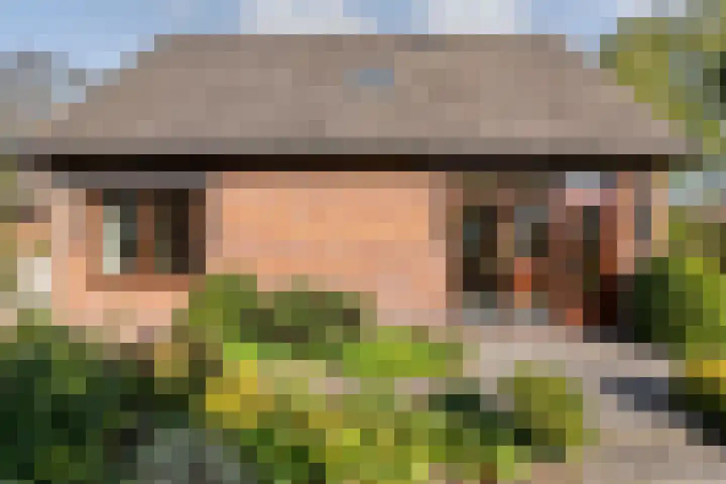 Patrijslaan 8 Ruinerwold thumbnail 45