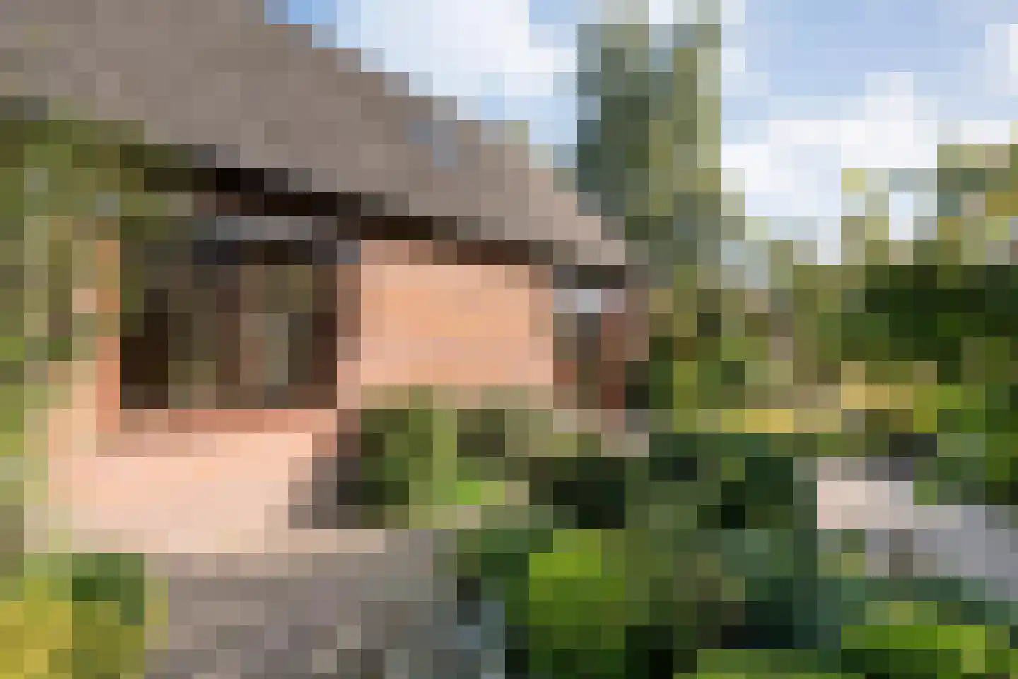 Patrijslaan 8 Ruinerwold thumbnail 46