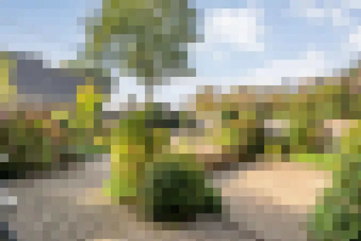 Patrijslaan 8 Ruinerwold thumbnail 47