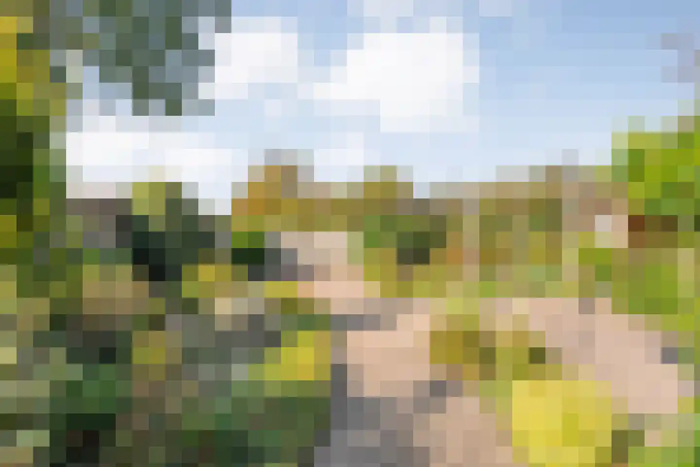 Patrijslaan 8 Ruinerwold thumbnail 48