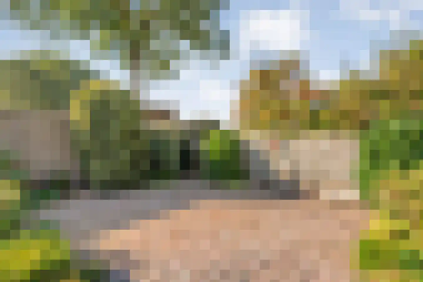 Patrijslaan 8 Ruinerwold thumbnail 49