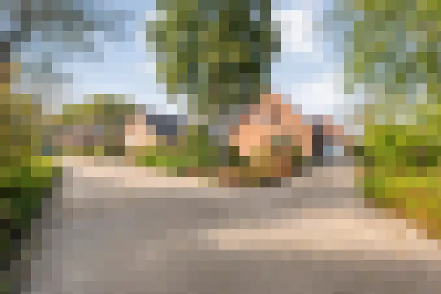 Patrijslaan 8 Ruinerwold thumbnail 5
