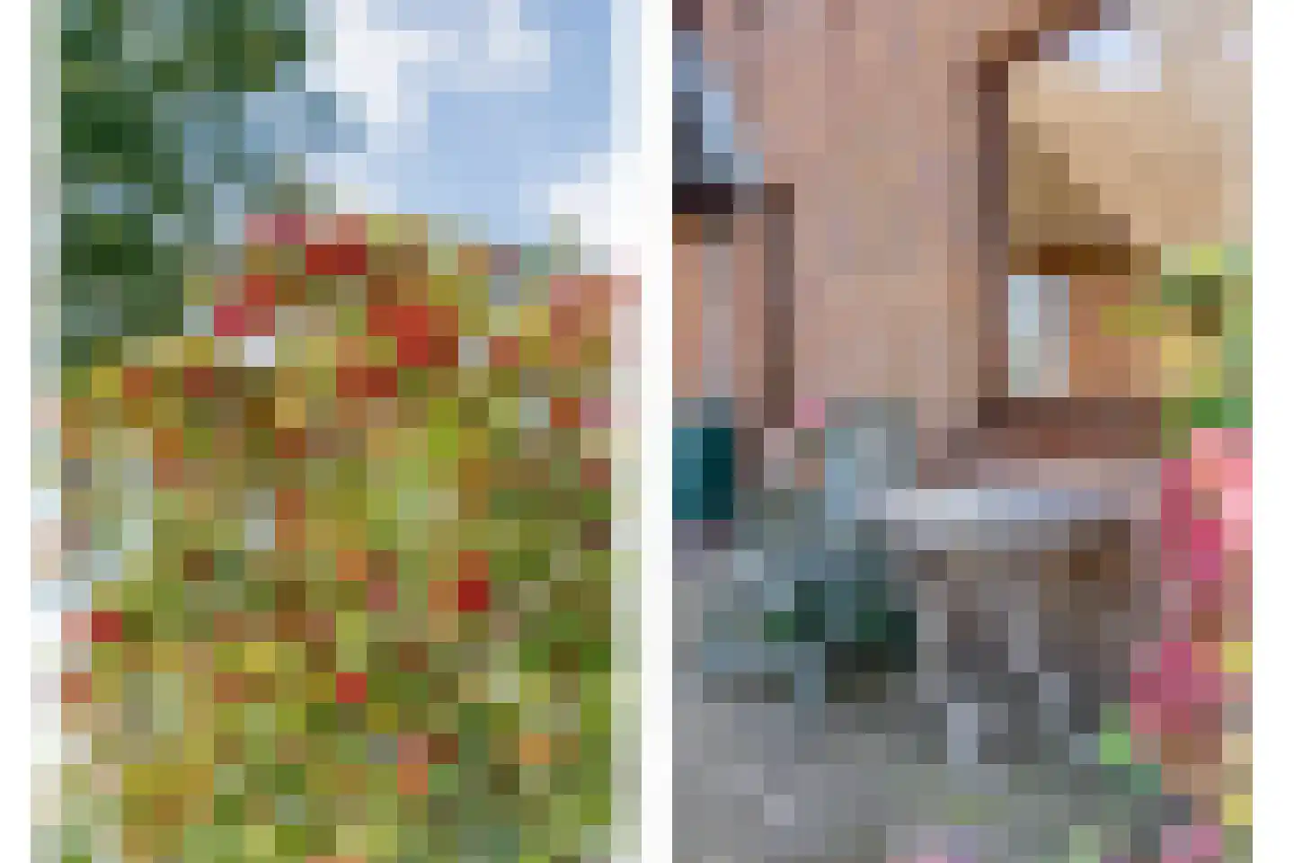 Patrijslaan 8 Ruinerwold thumbnail 50
