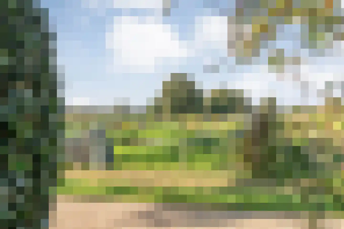 Patrijslaan 8 Ruinerwold thumbnail 51