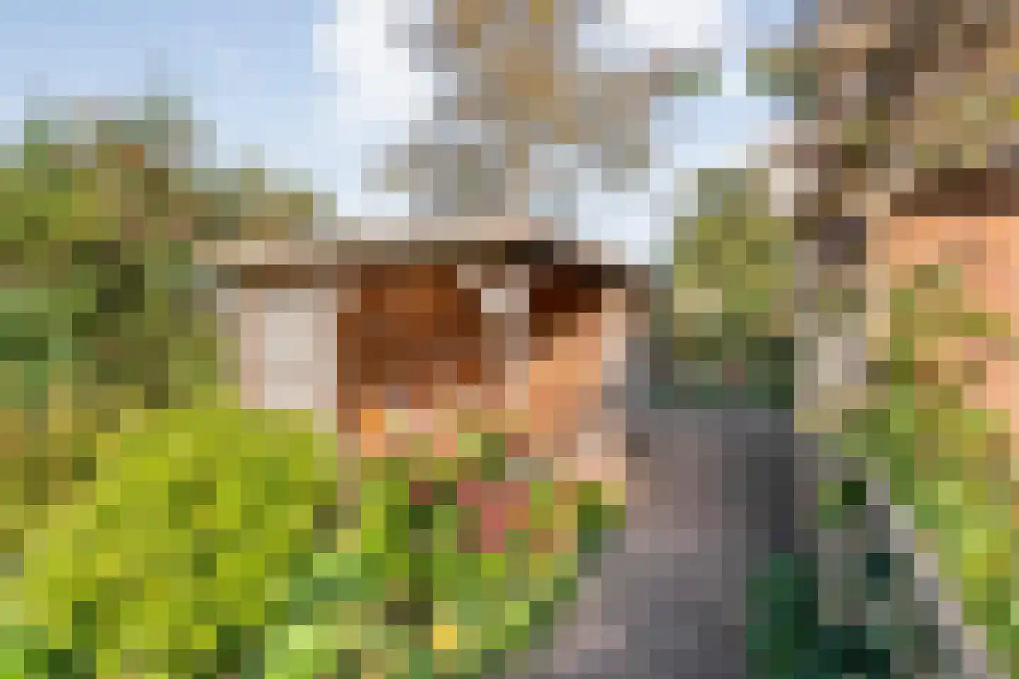 Patrijslaan 8 Ruinerwold thumbnail 53