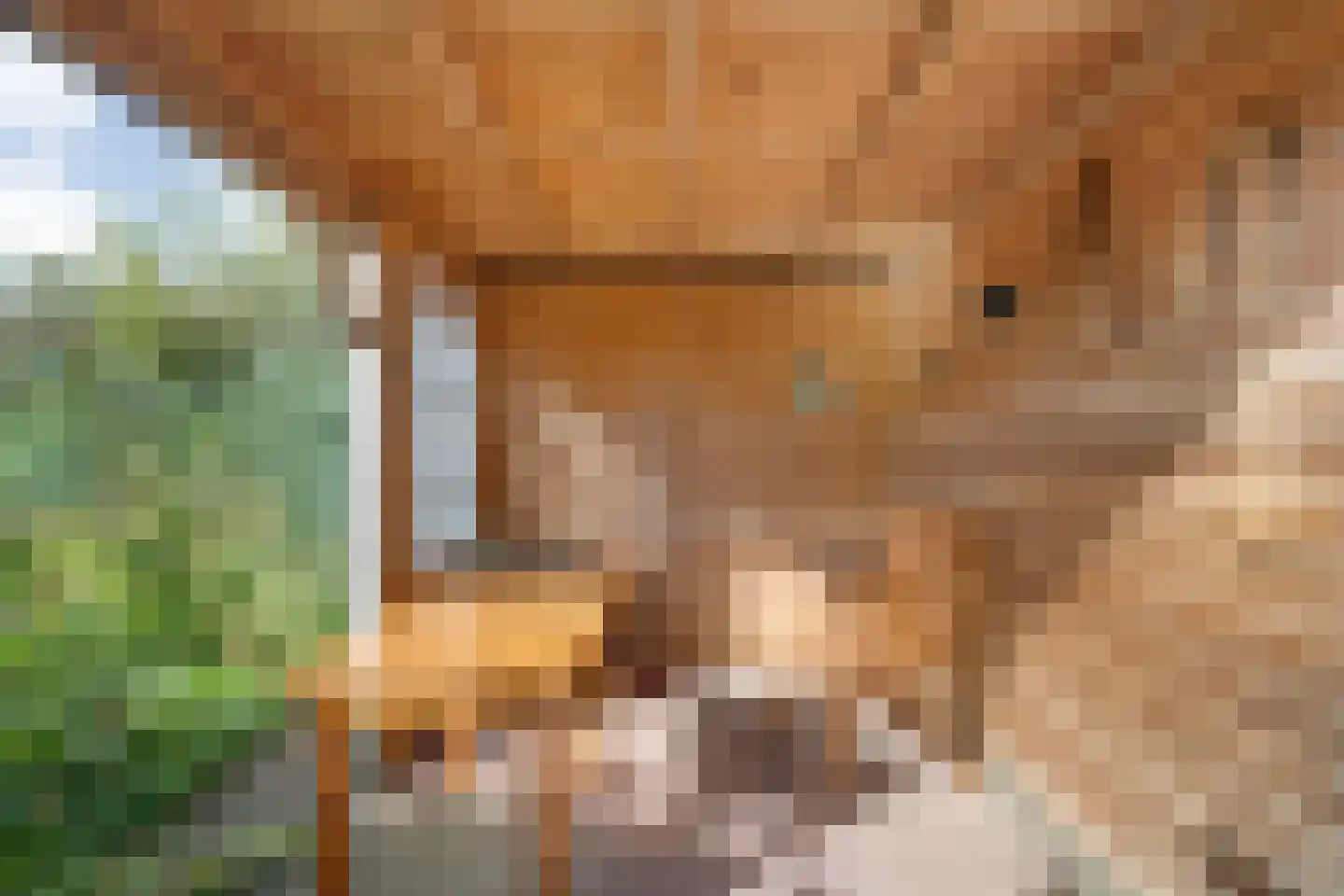 Patrijslaan 8 Ruinerwold thumbnail 54
