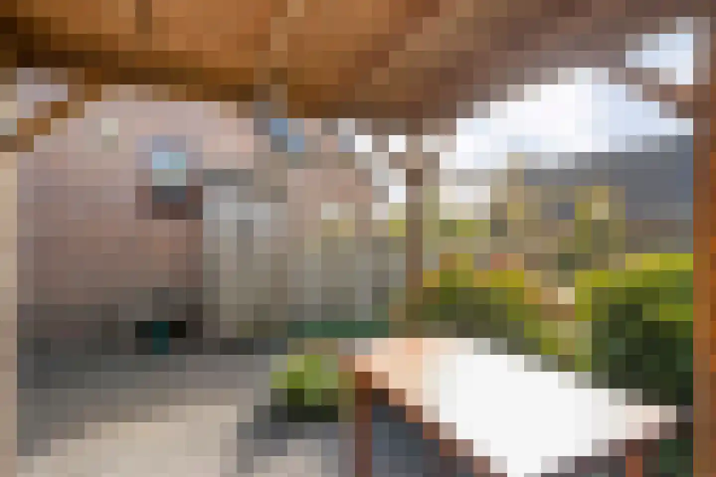 Patrijslaan 8 Ruinerwold thumbnail 55