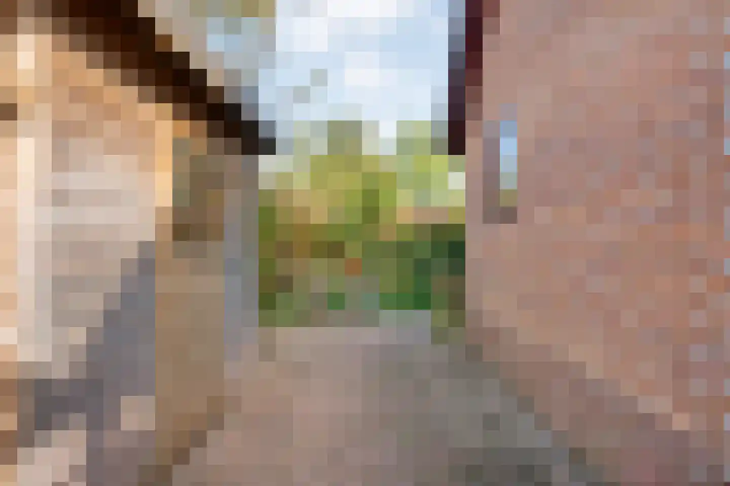 Patrijslaan 8 Ruinerwold thumbnail 56