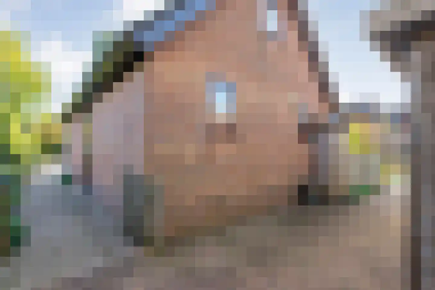 Patrijslaan 8 Ruinerwold thumbnail 58