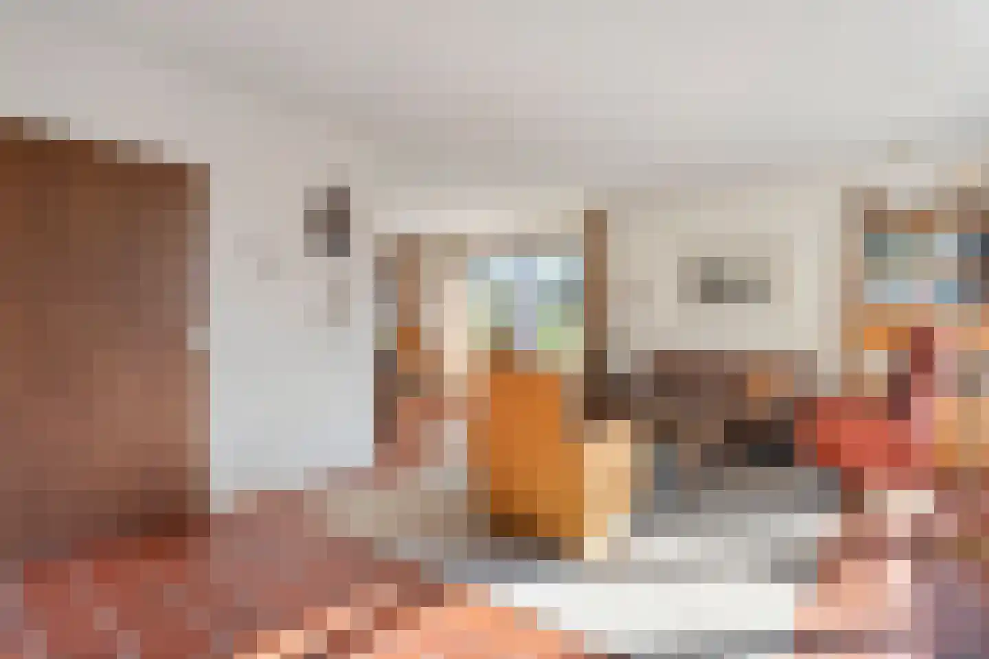 Patrijslaan 8 Ruinerwold thumbnail 6