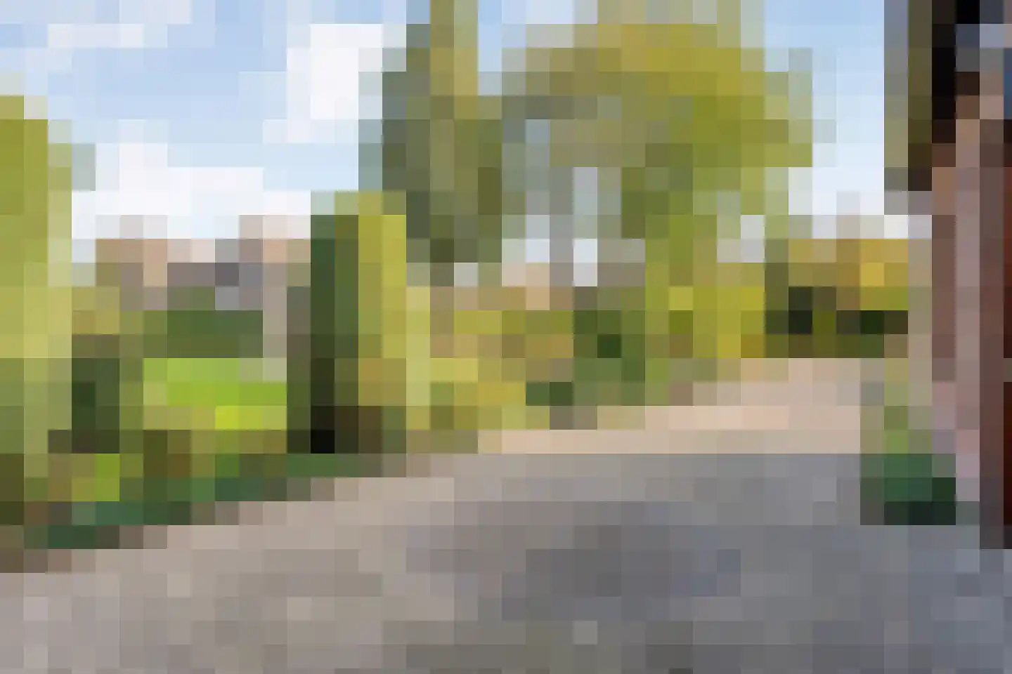 Patrijslaan 8 Ruinerwold thumbnail 61