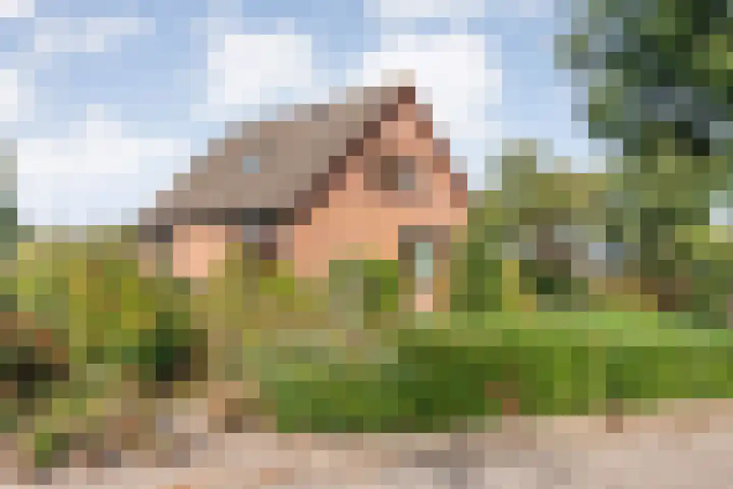 Patrijslaan 8 Ruinerwold thumbnail 62