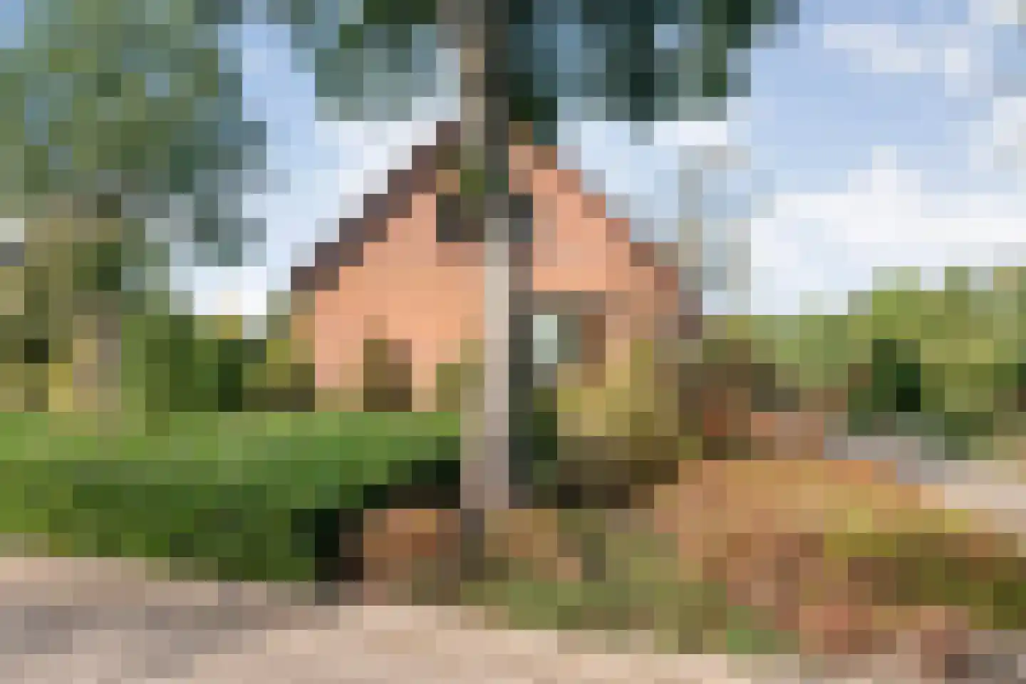 Patrijslaan 8 Ruinerwold thumbnail 64
