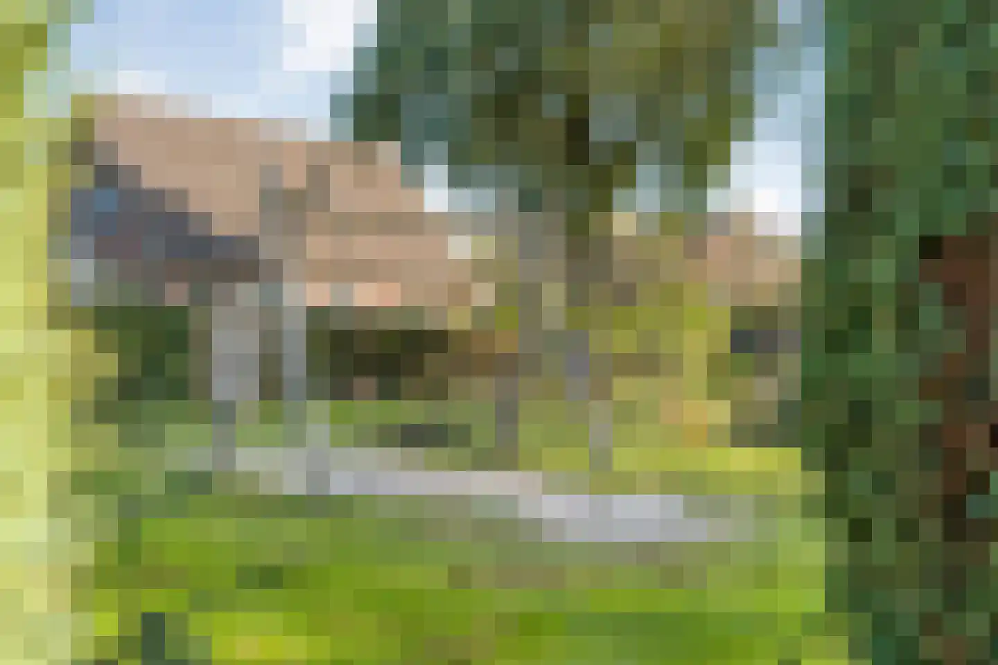 Patrijslaan 8 Ruinerwold thumbnail 65