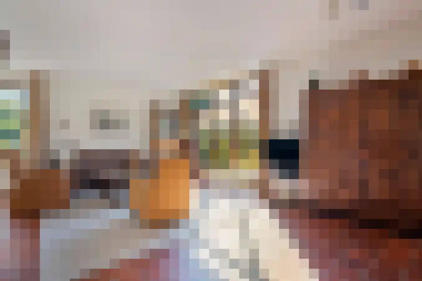 Patrijslaan 8 Ruinerwold thumbnail 7