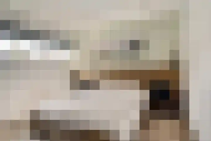 Patrijslaan 80 Dieren thumbnail 17