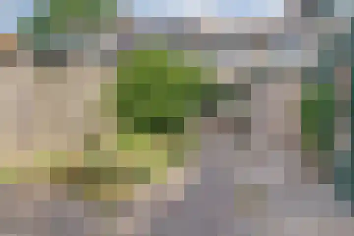 Patrijslaan 80 Dieren thumbnail 27