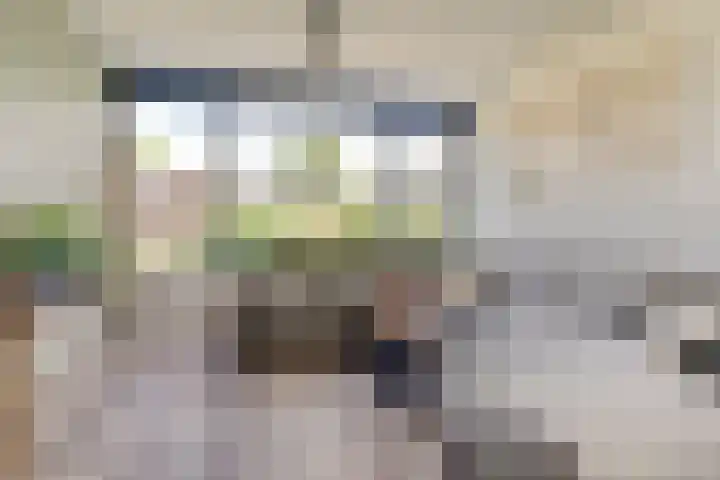 Patrijslaan 80 Dieren thumbnail 4