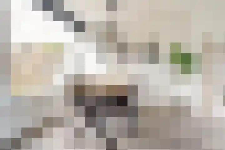 Patrijslaan 80 Dieren thumbnail 7