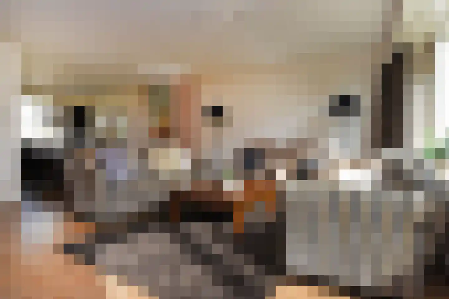 Patrijslaan 83 Leidschendam thumbnail 13