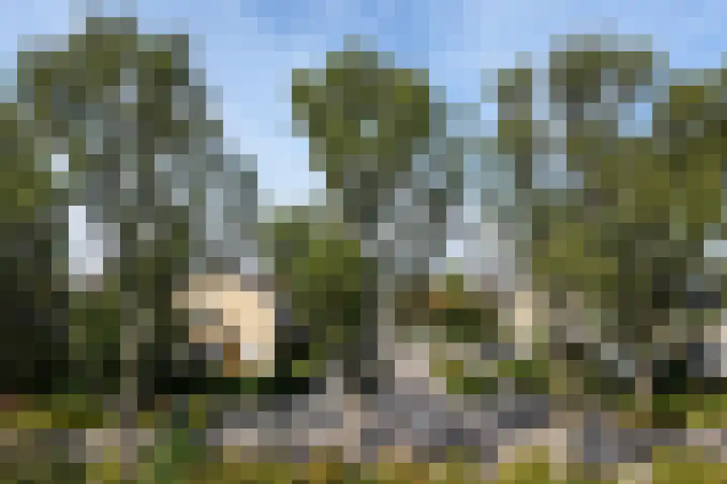 Patrijslaan 83 Leidschendam thumbnail 38