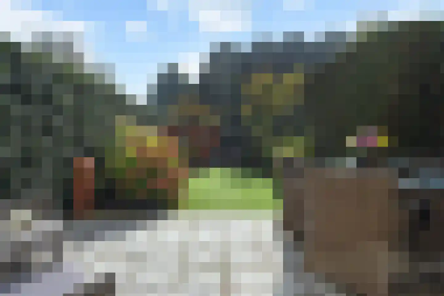 Patrijslaan 83 Leidschendam thumbnail 47