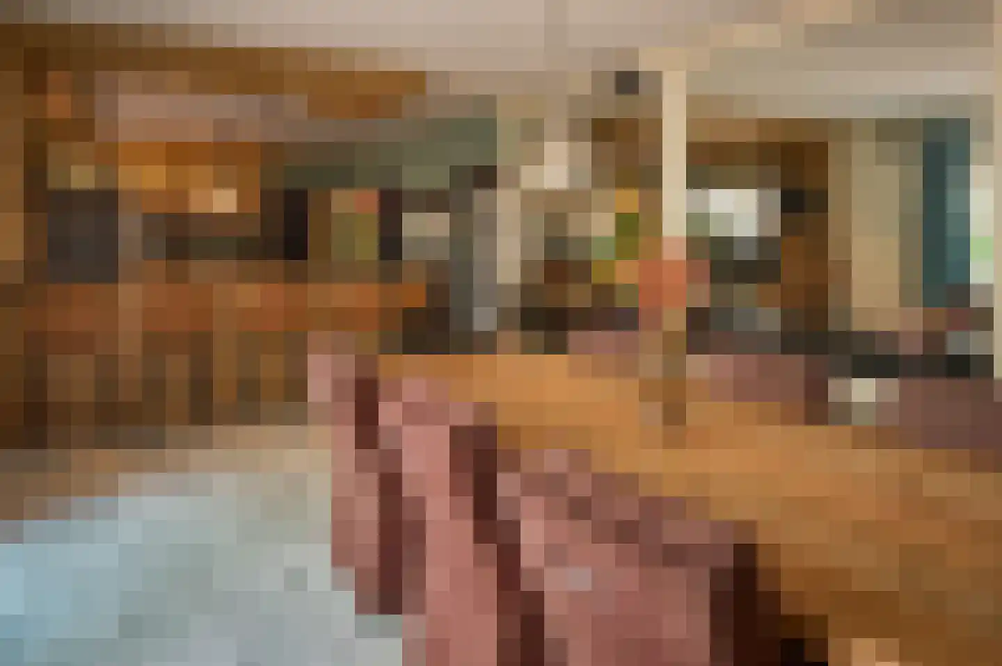Patrijslaan 9 Best thumbnail 13