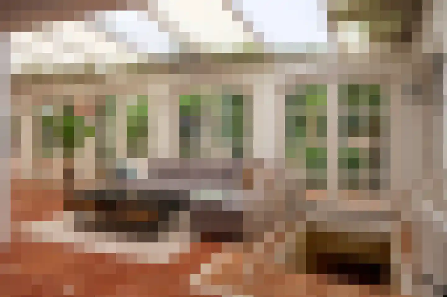 Patrijslaan 9 Best thumbnail 18