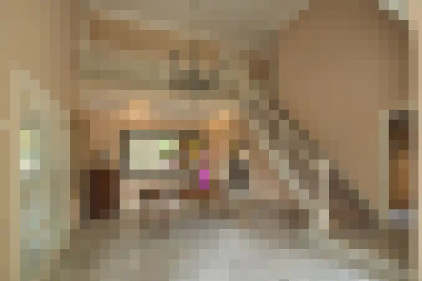 Patrijslaan 9 Best foto 3
