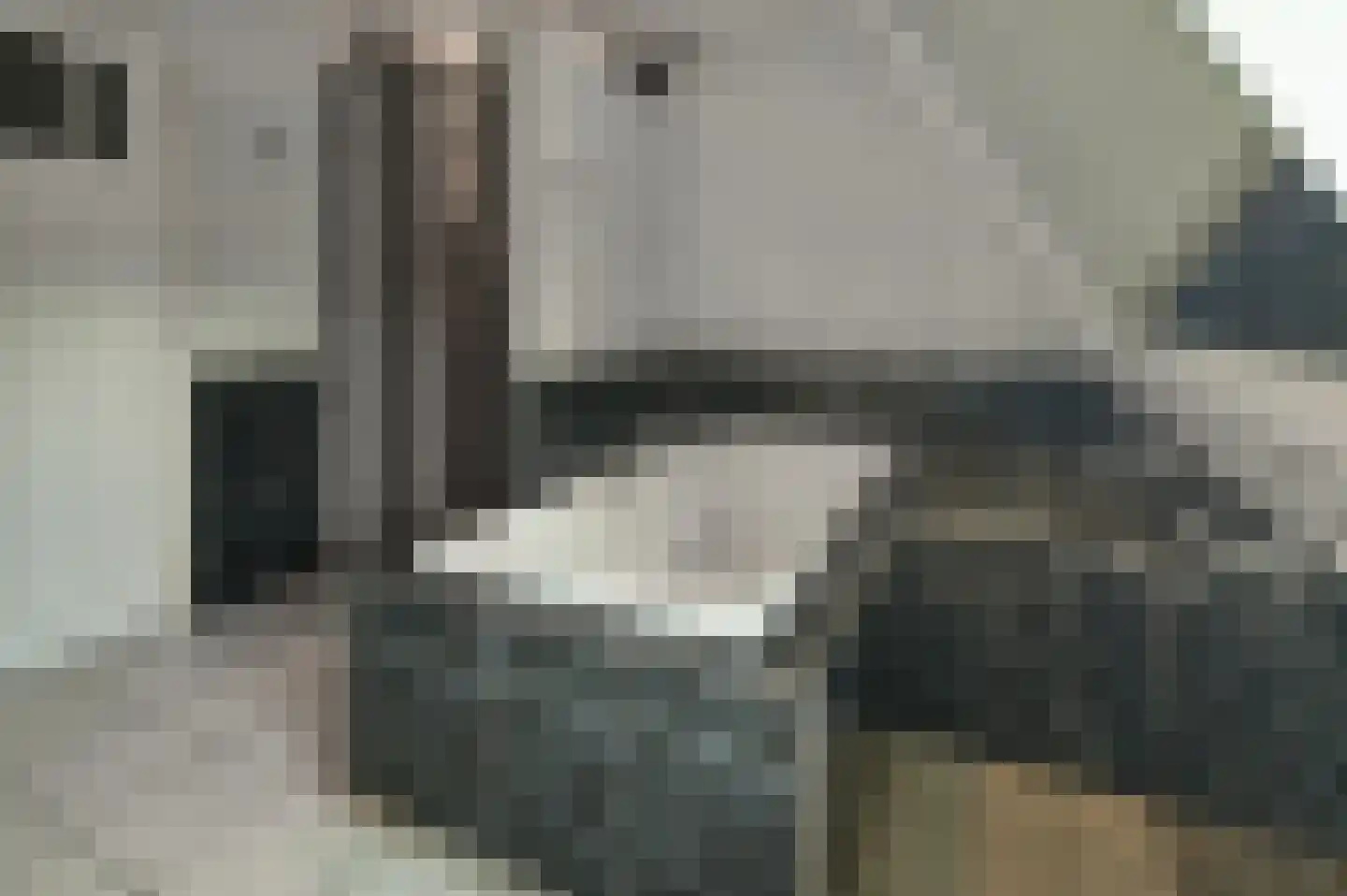Patrijslaan 9 Best thumbnail 36