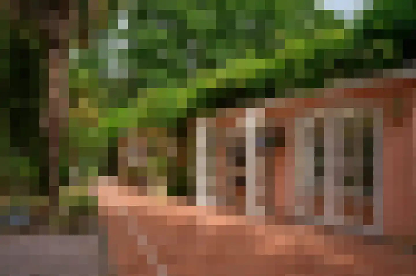 Patrijslaan 9 Best thumbnail 38