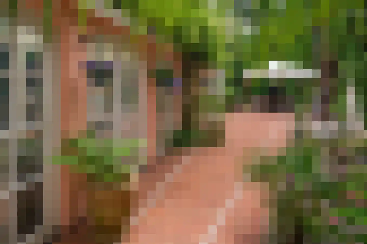Patrijslaan 9 Best thumbnail 39