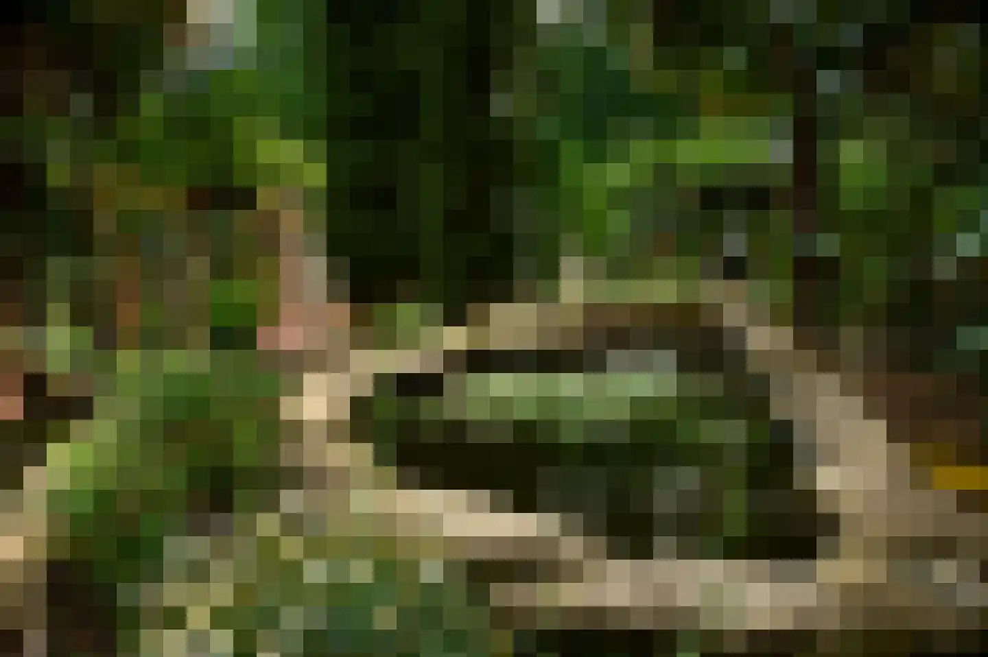 Patrijslaan 9 Best thumbnail 43