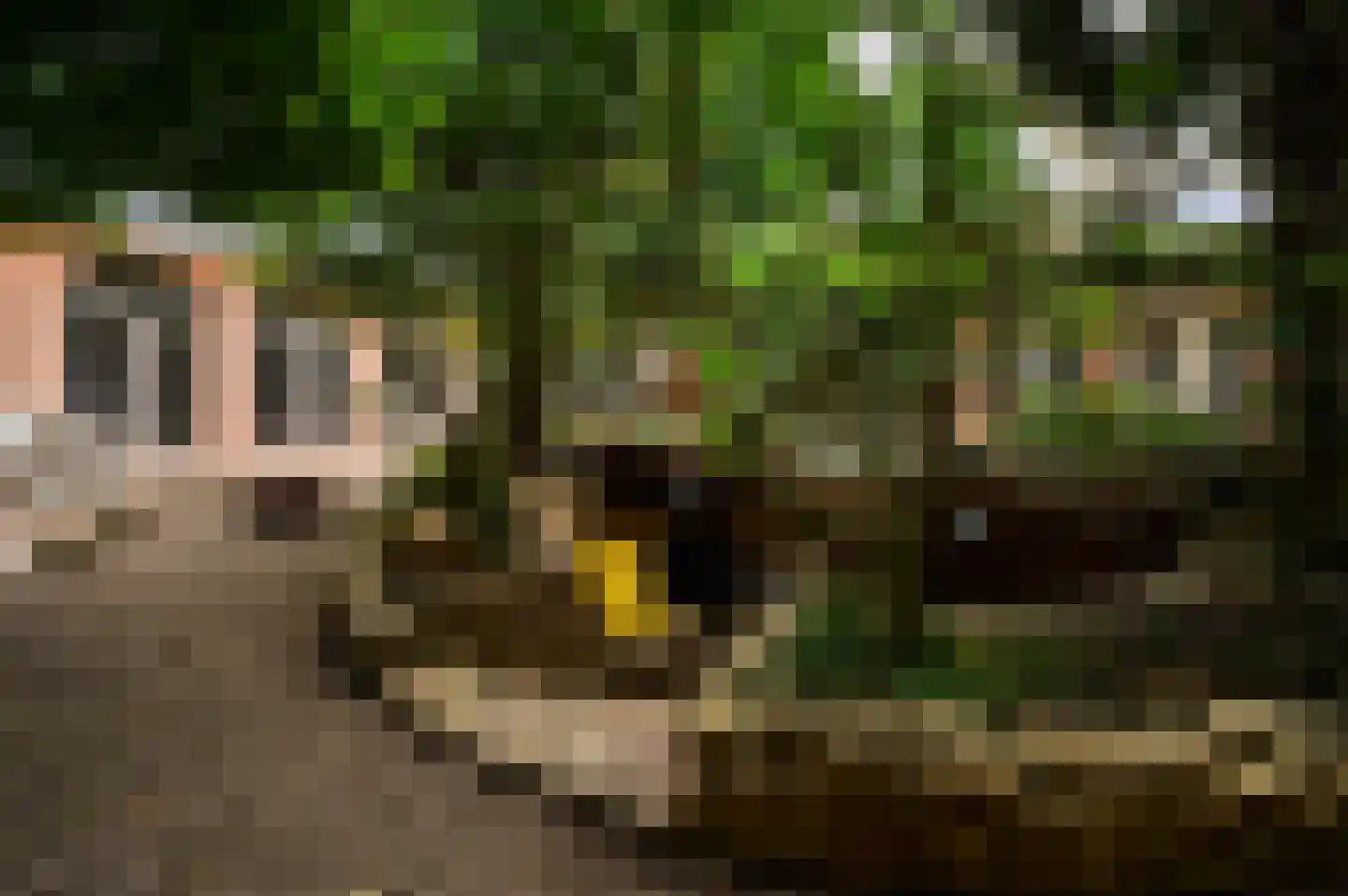 Patrijslaan 9 Best thumbnail 44