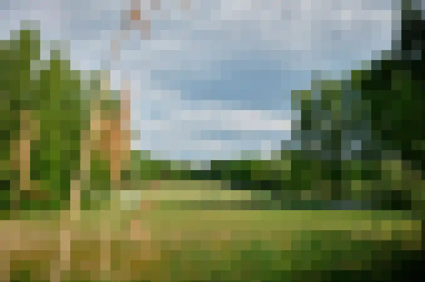 Patrijslaan 9 Best thumbnail 46