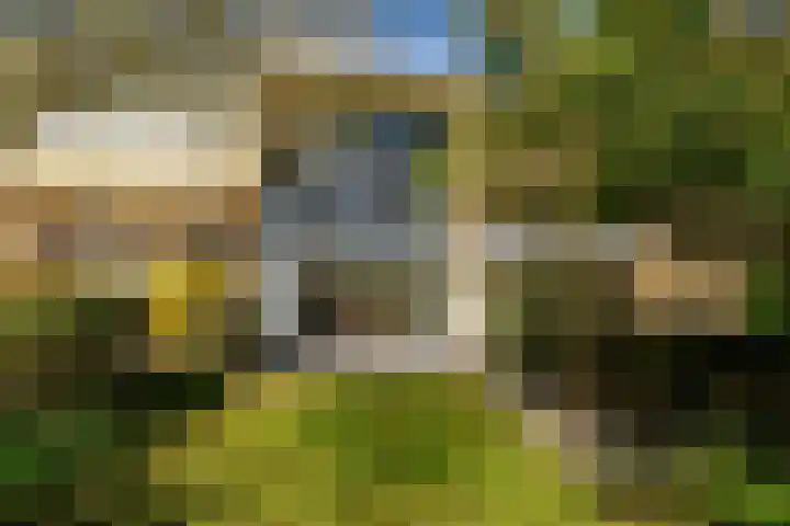 Patrijslaan 95 Leidschendam thumbnail 30