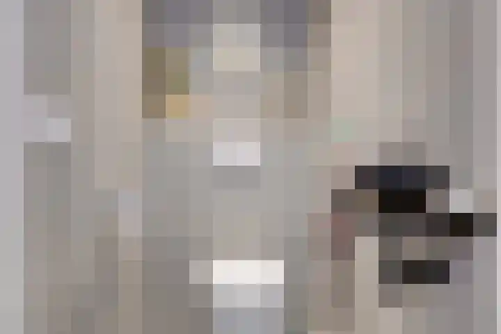 Patrijslaan 95 Leidschendam thumbnail 9