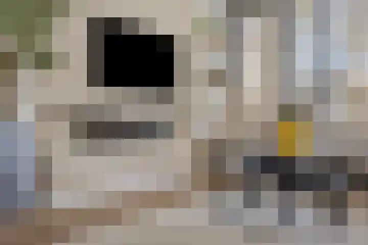 Patrijslaan 96 Dieren thumbnail 12