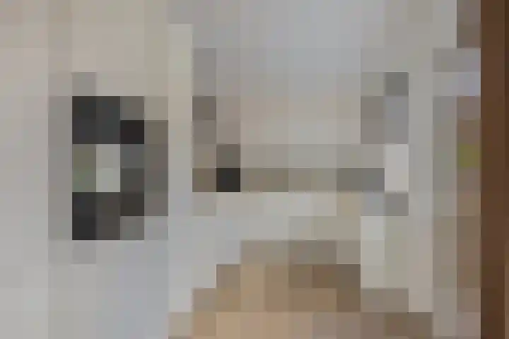 Patrijslaan 96 Dieren thumbnail 15