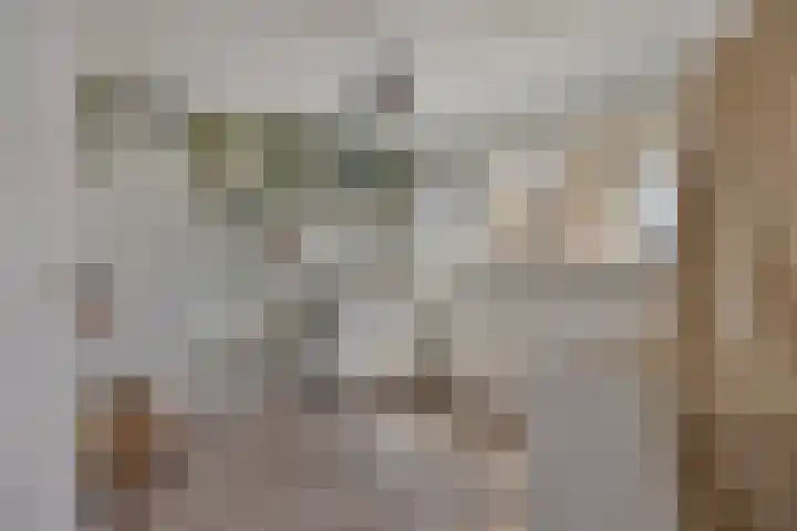 Patrijslaan 96 Dieren thumbnail 20