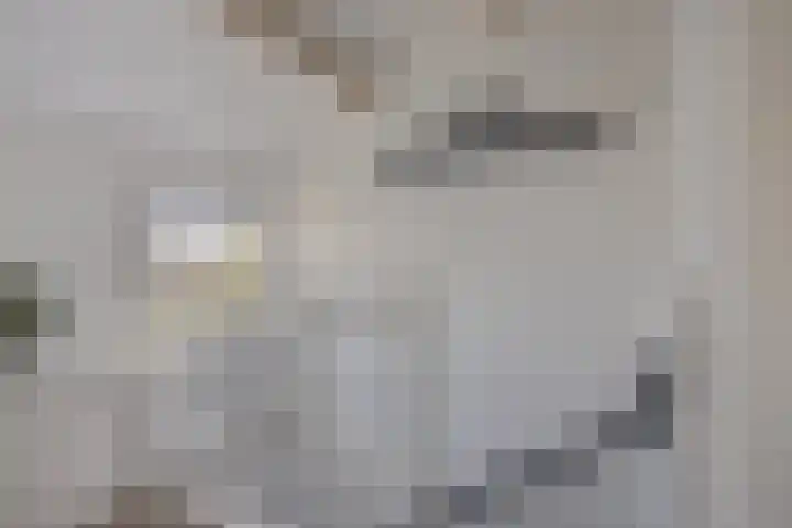 Patrijslaan 96 Dieren thumbnail 26