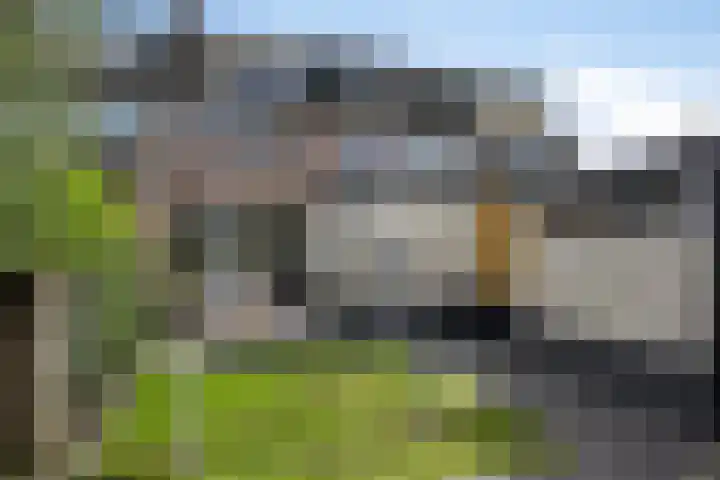 Patrijslaan 96 Dieren thumbnail 37