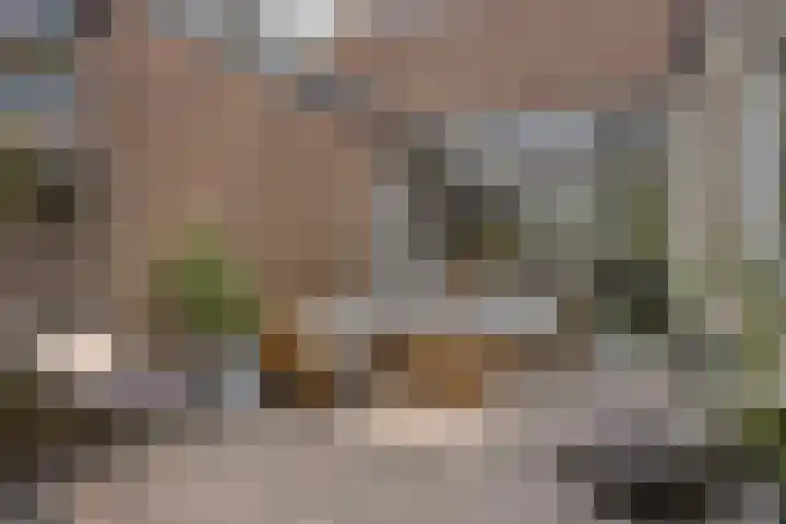 Patrijslaan 96 Dieren thumbnail 38