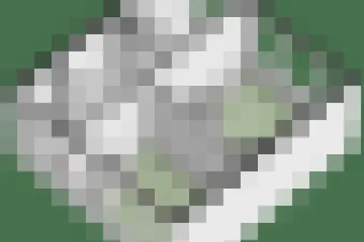 Patrijslaan 96 Dieren thumbnail 46