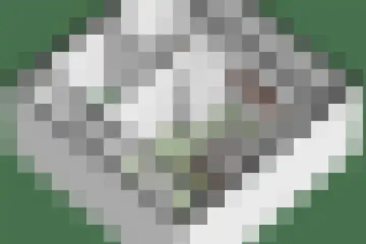Patrijslaan 96 Dieren thumbnail 48