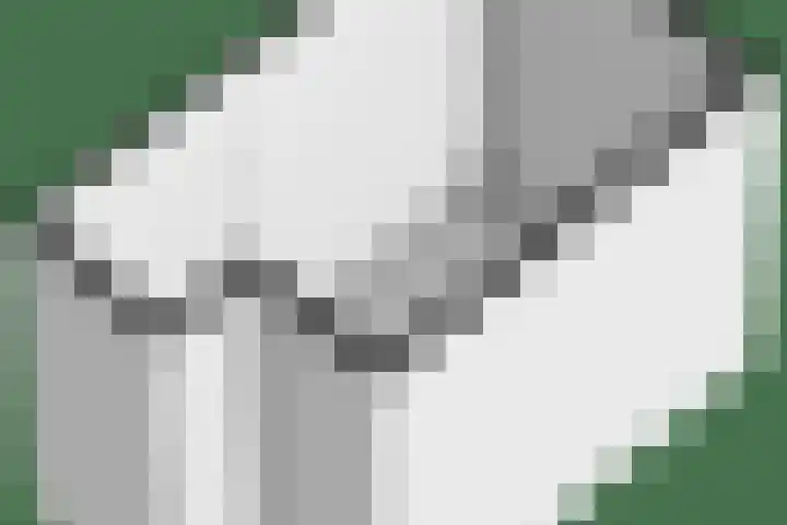Patrijslaan 96 Dieren thumbnail 50