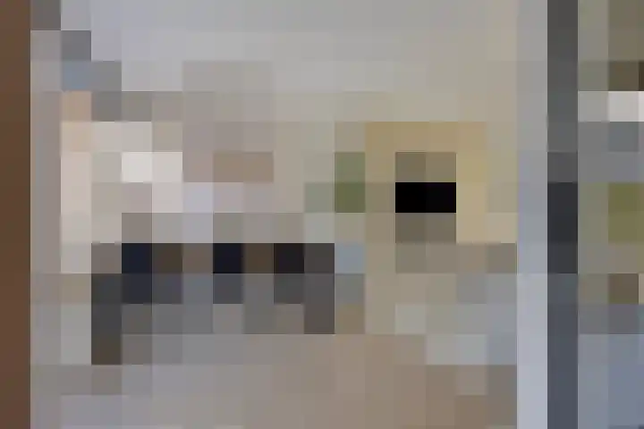 Patrijslaan 96 Dieren thumbnail 7