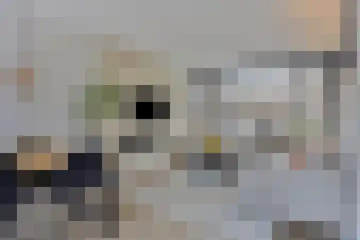 Patrijslaan 96 Dieren thumbnail 8