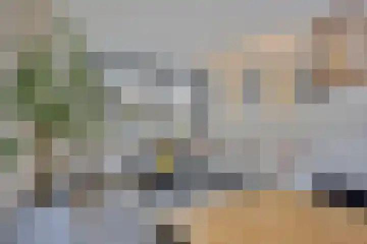Patrijslaan 96 Dieren thumbnail 9